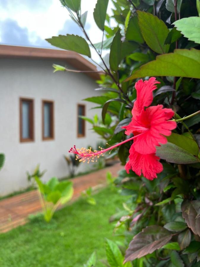 Pousada Maresia Fernando de Noronha Kültér fotó
